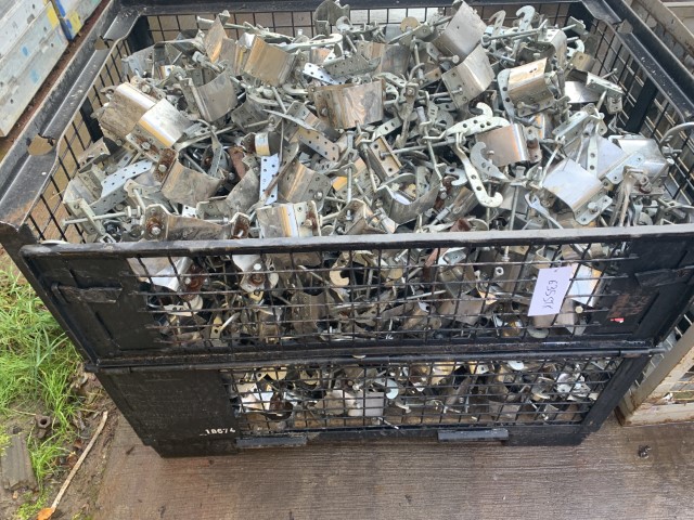 Перистый крючковатый гибрид — изображение 2